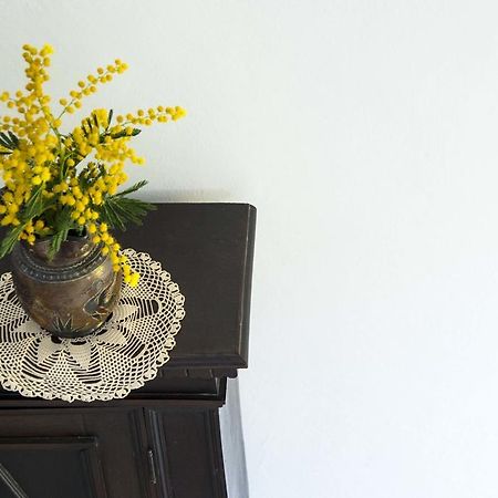 La Villa Nei Fiori Firenze Kültér fotó