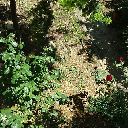 La Villa Nei Fiori Firenze Kültér fotó